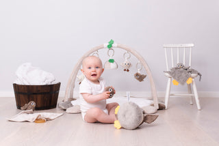 Rätt Start Owls Babygym, Löstagbara Lekbågar