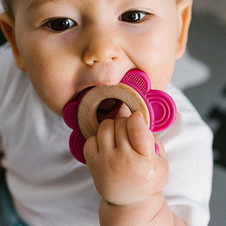 Babyono Bitleksak Fjäril Trä/Silikon Rosa